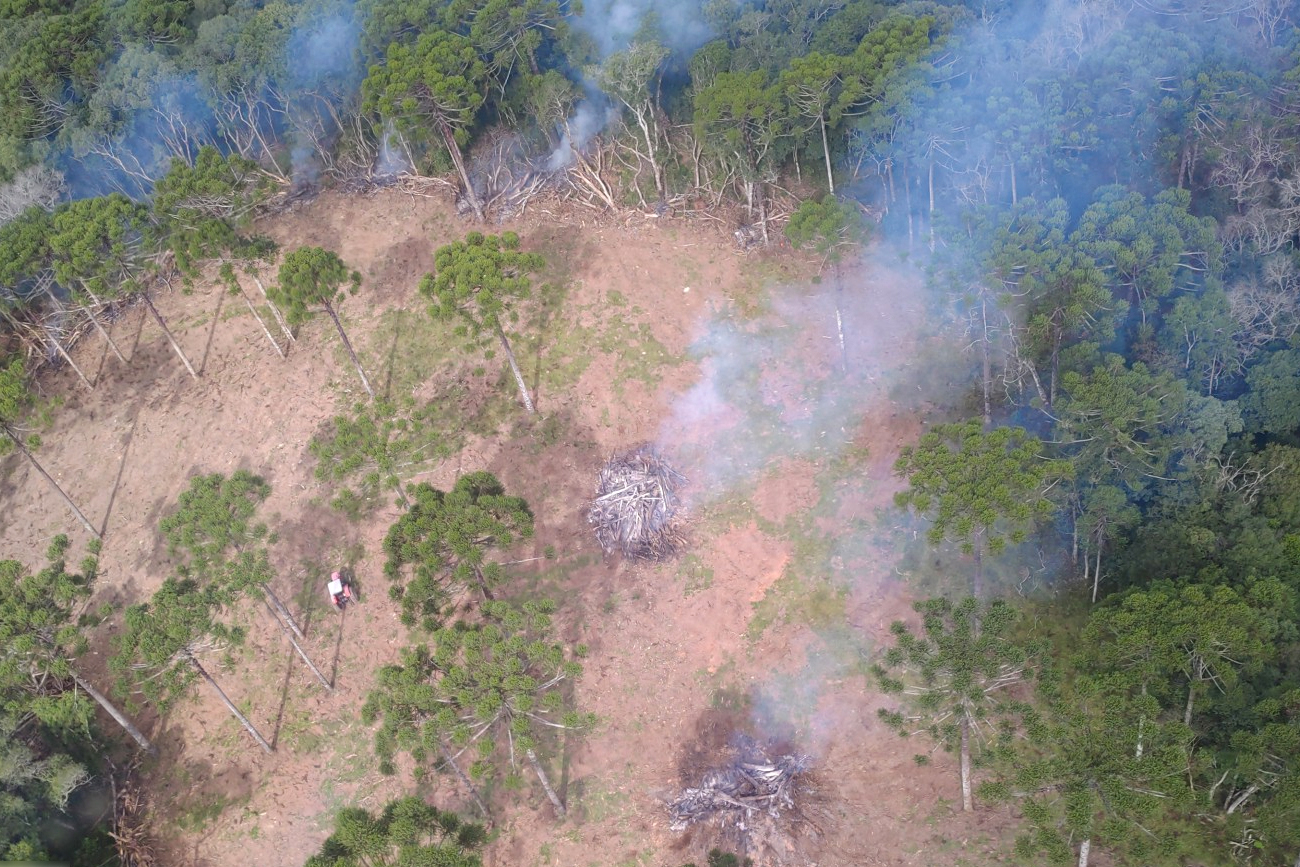 Segunda operação remota do IAT aplica R$ 16,4 milhões em multas por desmatamento ilegal