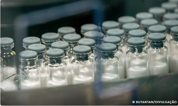 Vacina contra a dengue do Butantan começa a ser aplicada em janeiro.