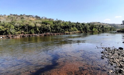 Homem é encontrado morto em estado avançado de decomposição no Rio Piquiri.