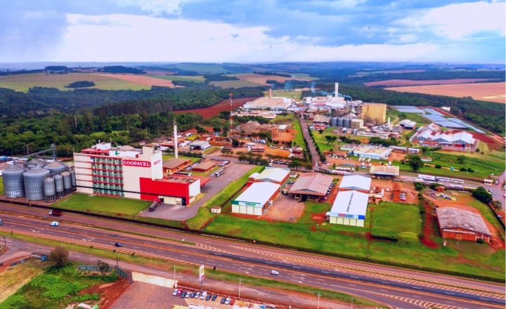 Cooperativa Agroindustrial de Cascavel é condenada por crime ambiental
