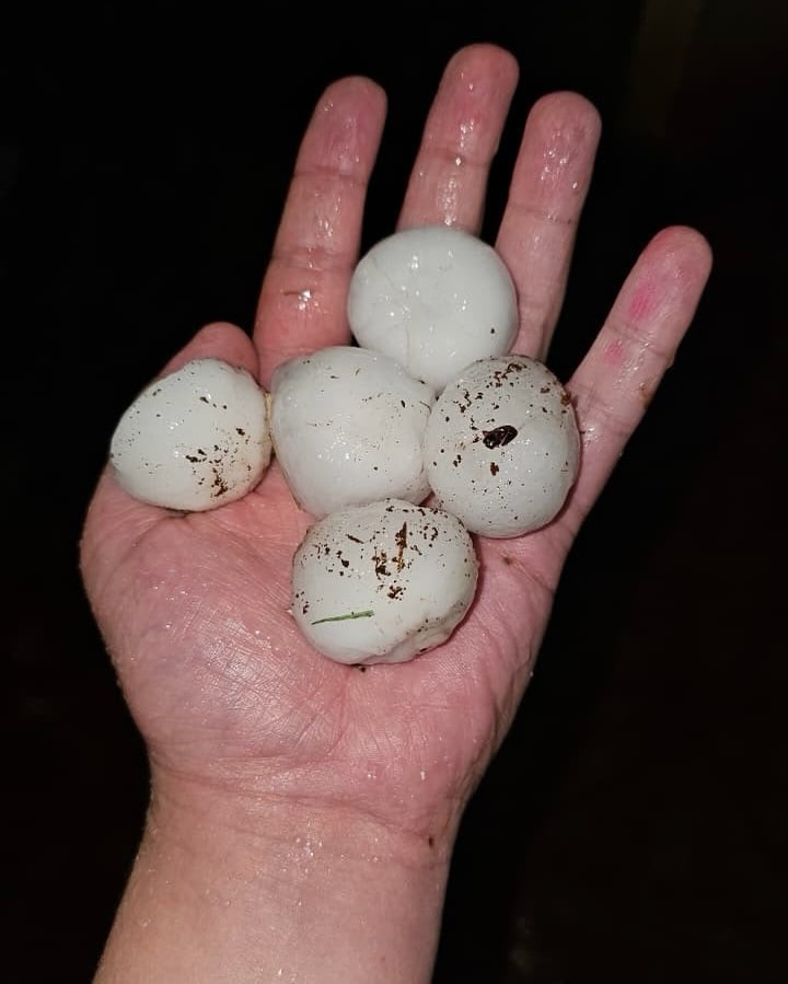 Temporal causa estragos em centenas de casas no Paraná