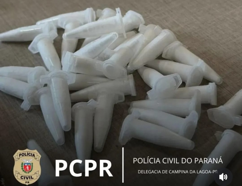 Polícia Civil cumpre mandado e apreende drogas, armas e dinheiro em Sales de Oliveira.